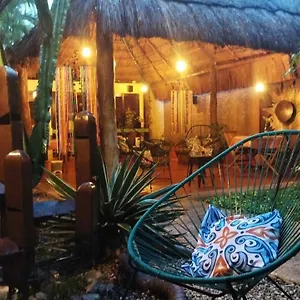 Barrio Latino *** Playa del Carmen